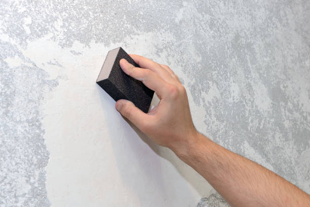Reliable Jamestown, NY Mold Removal Solutions