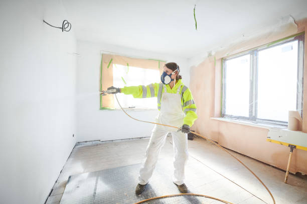 Best Basement Mold Removal  in Jamestown, NY