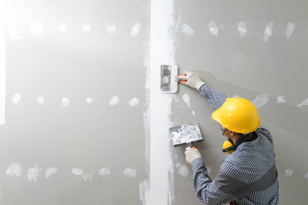Best Mold Documentation for Insurance Claims  in Jamestown, NY