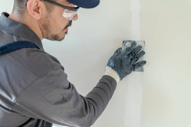 Best Mold Odor Removal Services  in Jamestown, NY