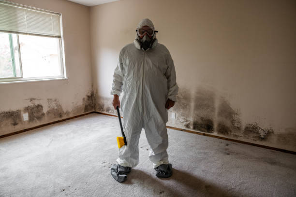 Asbestos and Lead Testing During Mold Inspection in Jamestown, NY