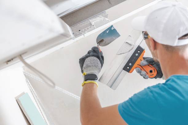 Best Crawl Space Mold Remediation  in Jamestown, NY